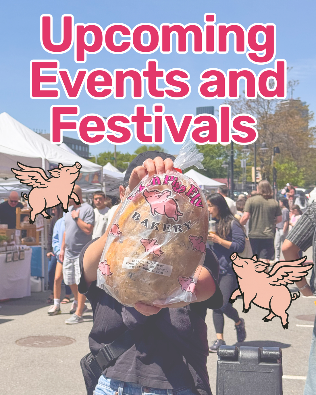 Upcoming Events and Festivals