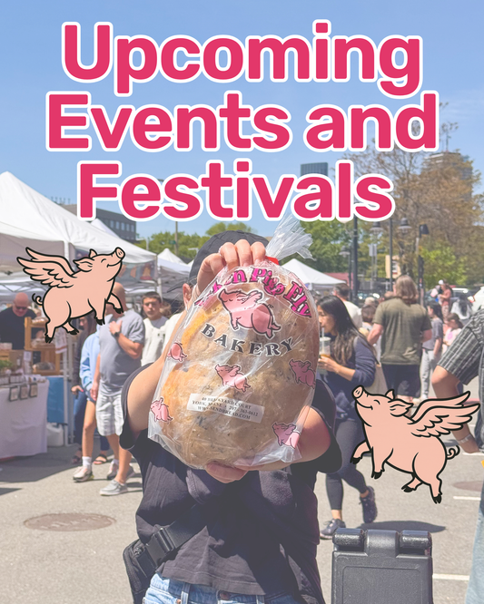 Upcoming Events and Festivals